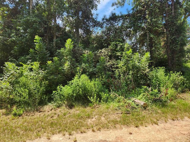Lot 27 Mayhaw Lane, Plantersville, TX 77363