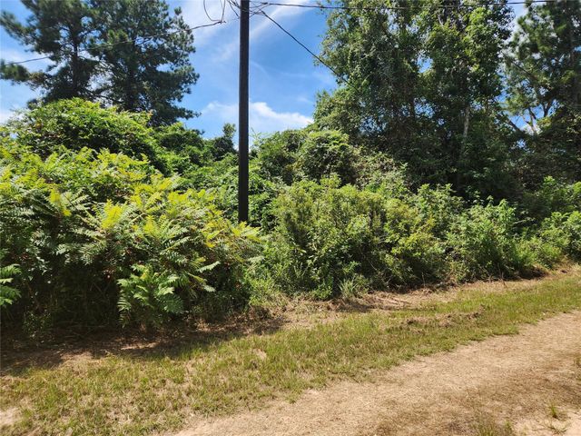 Lot 27 Mayhaw Lane, Plantersville, TX 77363
