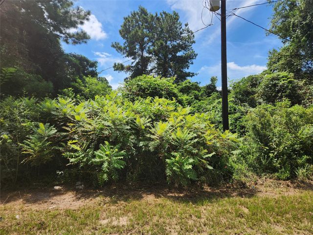 Lot 27 Mayhaw Lane, Plantersville, TX 77363