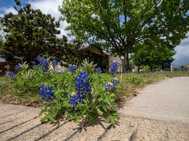 100 Linsey CV, Burnet, TX 78611
