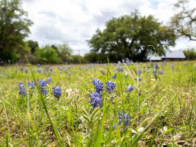 100 Linsey CV, Burnet, TX 78611