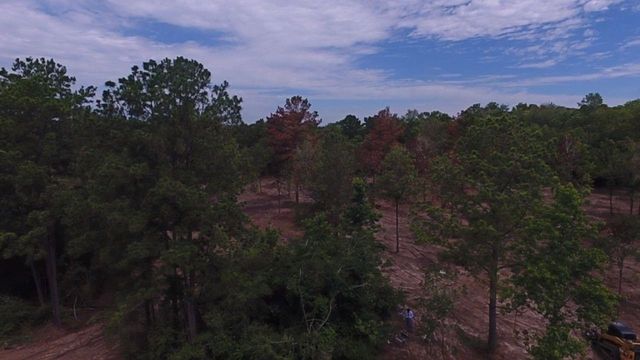 12939 Rose Road, Willis, TX 77378
