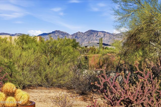 12772 N Sorrel Stallion Place, Marana, AZ 85658