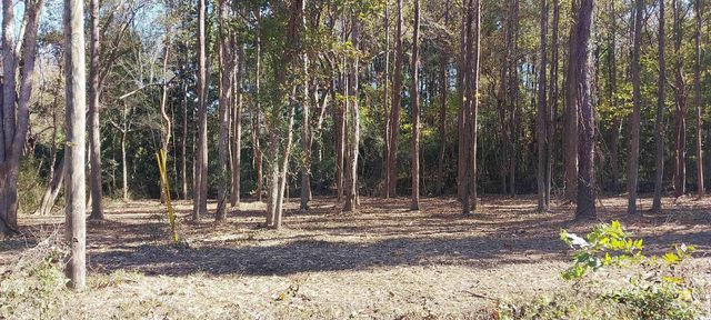 0 Millers Rd., Mullins, SC 29574