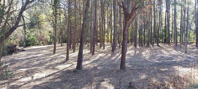 0 Millers Rd., Mullins, SC 29574