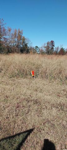 0 Millers Rd., Mullins, SC 29574