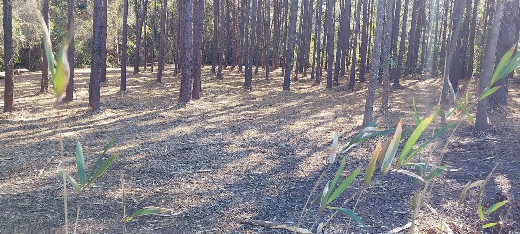 0 Millers Rd., Mullins, SC 29574