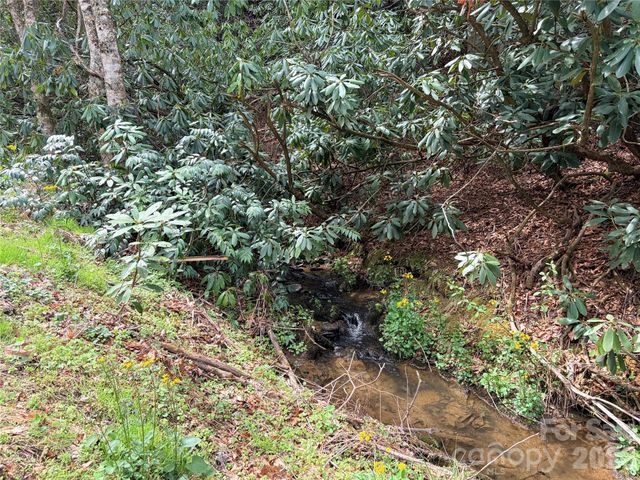 00 White Oak Road, Waynesville, NC 28785