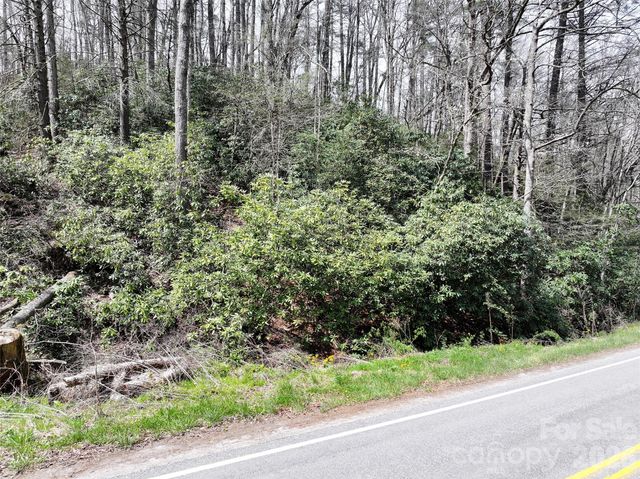 00 White Oak Road, Waynesville, NC 28785