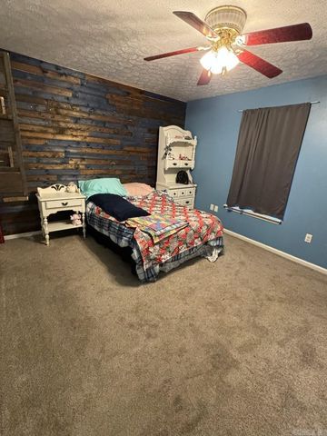 907 Shannon Street, Bald Knob, AR 72010