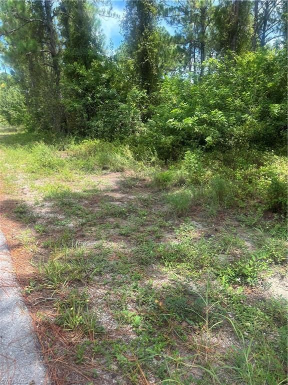 2110 Jackson AVE, ALVA, FL 33920 — photo 2