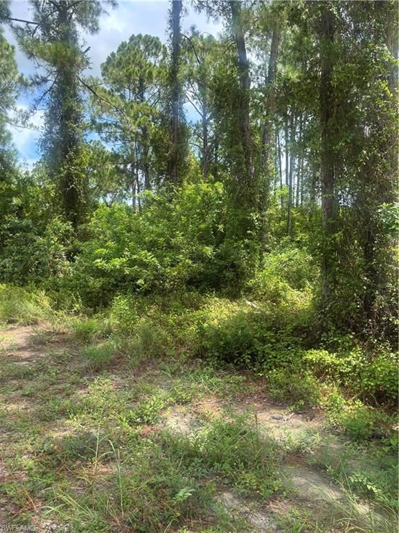 2110 Jackson AVE, ALVA, FL 33920 — photo 3