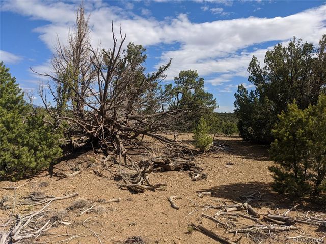 623 Cello Azui Drive, Walsenburg, CO 81089