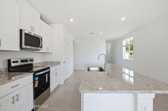 7491 Mia Vine Drive, Brooksville, FL 34601