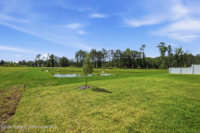 7491 Mia Vine Drive, Brooksville, FL 34601