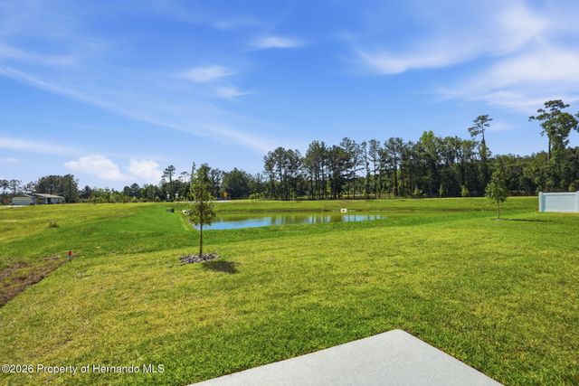 7491 Mia Vine Drive, Brooksville, FL 34601