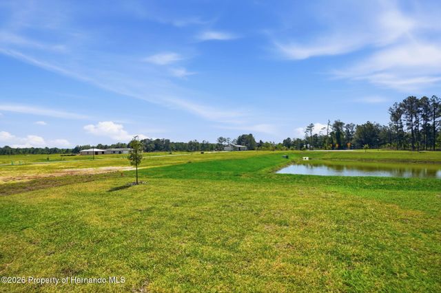 7491 Mia Vine Drive, Brooksville, FL 34601