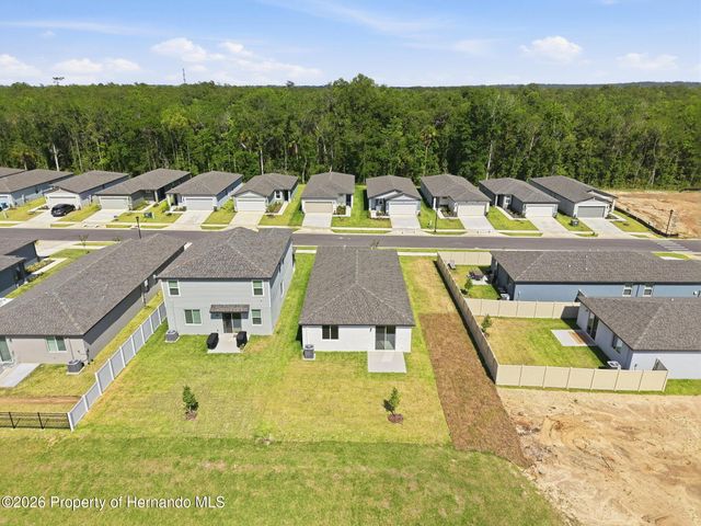 7491 Mia Vine Drive, Brooksville, FL 34601