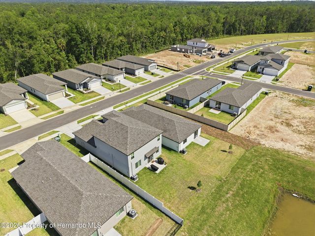 7491 Mia Vine Drive, Brooksville, FL 34601