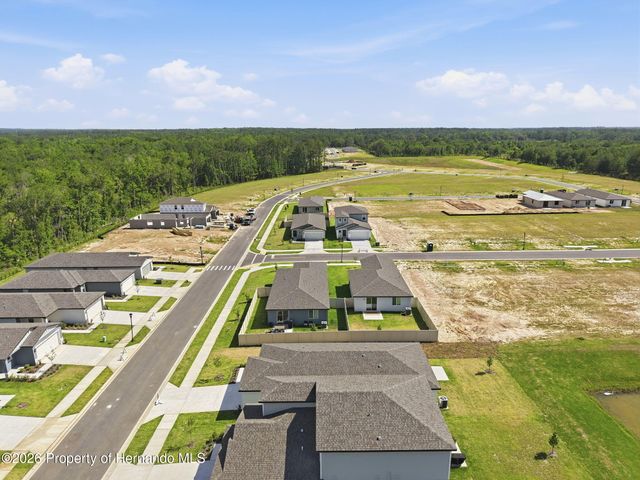 7491 Mia Vine Drive, Brooksville, FL 34601