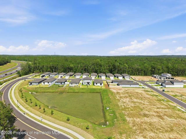 7491 Mia Vine Drive, Brooksville, FL 34601