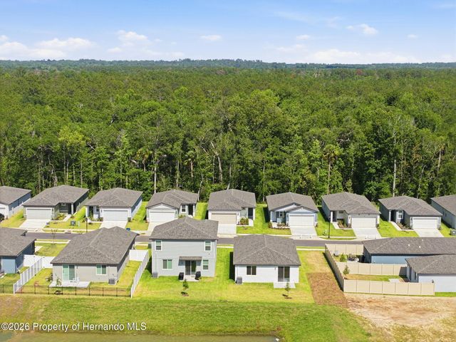 7491 Mia Vine Drive, Brooksville, FL 34601