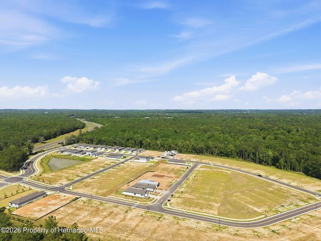 7491 Mia Vine Drive, Brooksville, FL 34601