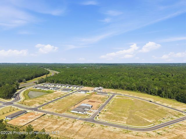 7491 Mia Vine Drive, Brooksville, FL 34601