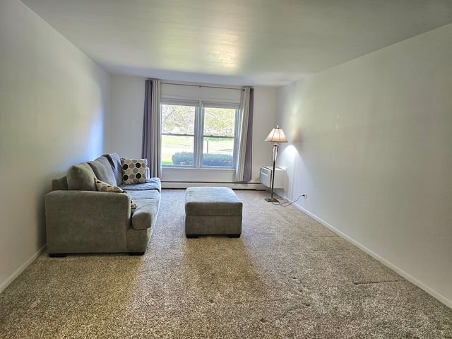 350 Brainerd Avenue 6A, Libertyville, IL 60048