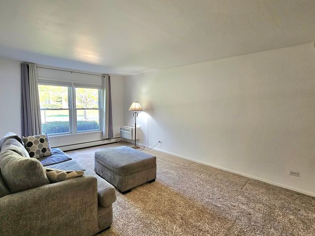 350 Brainerd Avenue 6A, Libertyville, IL 60048
