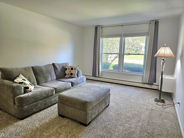 350 Brainerd Avenue 6A, Libertyville, IL 60048