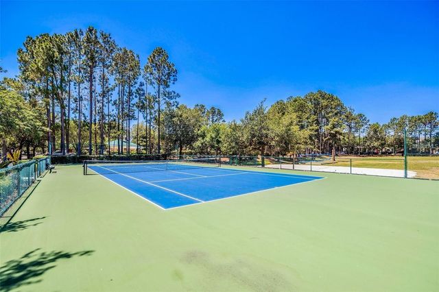 12947 RUNSWICK AVENUE, Windermere, FL 34786