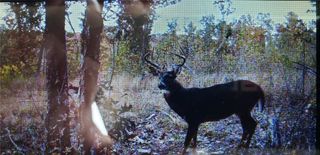 TBD Madison 2360, Huntsville, AR 72740