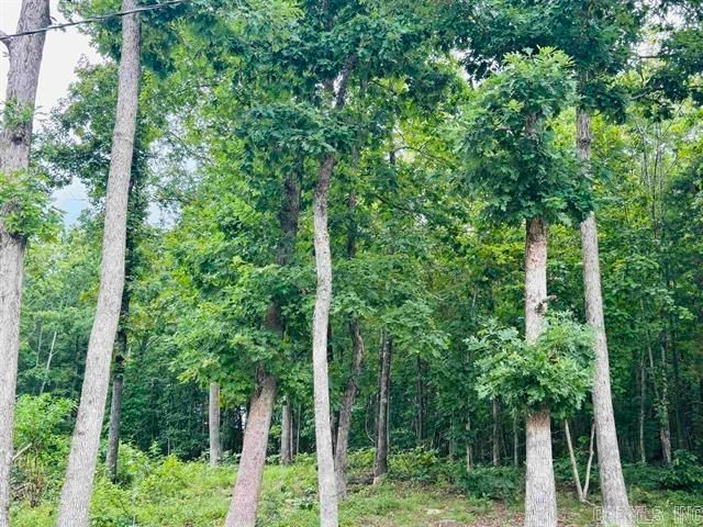 1472 A Petters Road, Mountain View, AR 72560