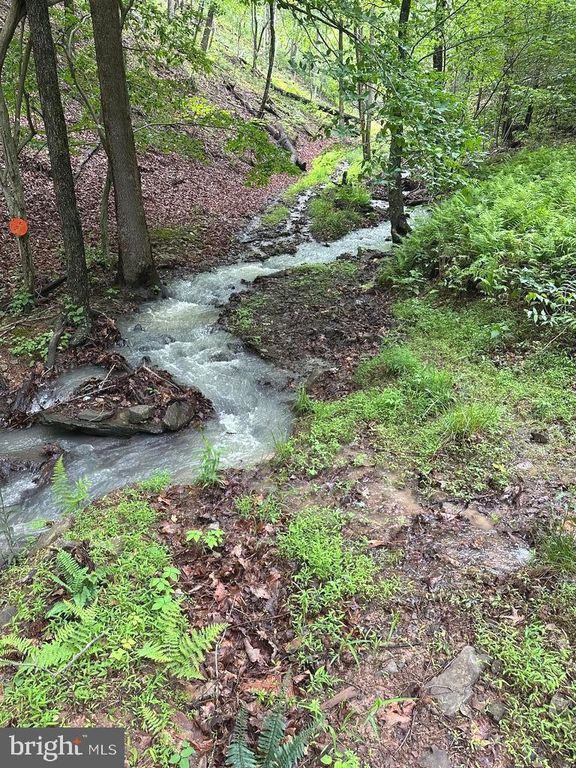 Image 12 of property listing at 400 LOCUST RIDGE, Moorefield, WV 26836