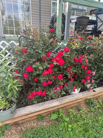 117 Old Kinser Circle SE, Cleveland, TN 37323