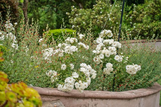 780 Calabasas Road, Watsonville, CA 95076