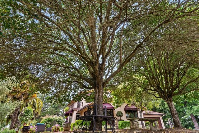 780 Calabasas Road, Watsonville, CA 95076