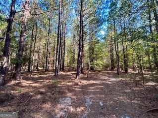 0 Elam Church Road, Warrenton, GA 30828
