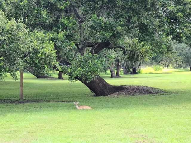 Lot 16 Wrangler Bend, Angleton, TX 77515