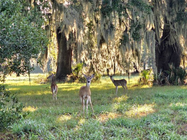 Lot 16 Wrangler Bend, Angleton, TX 77515