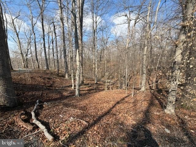 11720 OLYMPIC DR, Manassas, VA 20112