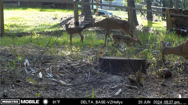 476 Basket Oak Drive, Bunnlevel, NC 28323