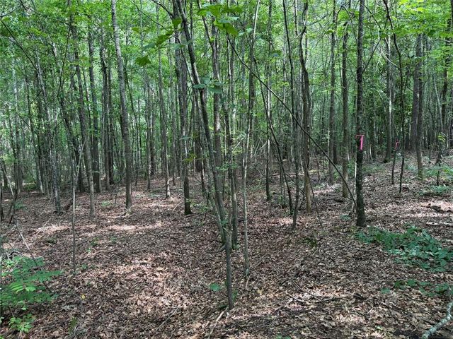 6.9 Acres Rivertown Road, Fairburn, GA 30213