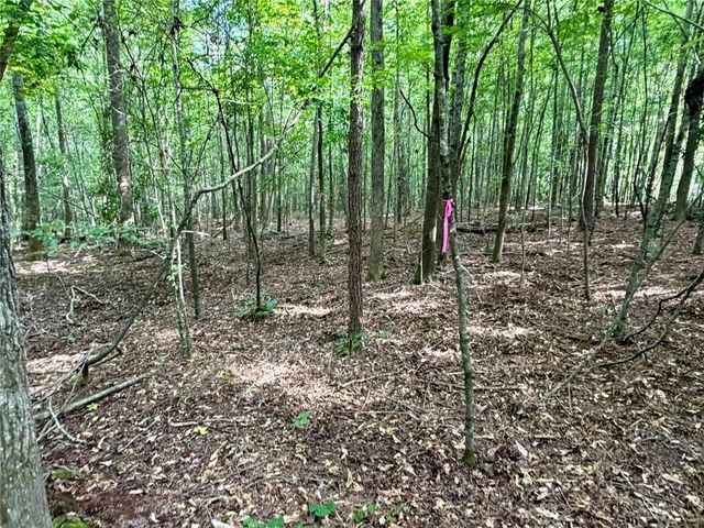 6.9 Acres Rivertown Road, Fairburn, GA 30213