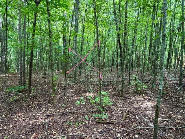 6.9 Acres Rivertown Road, Fairburn, GA 30213