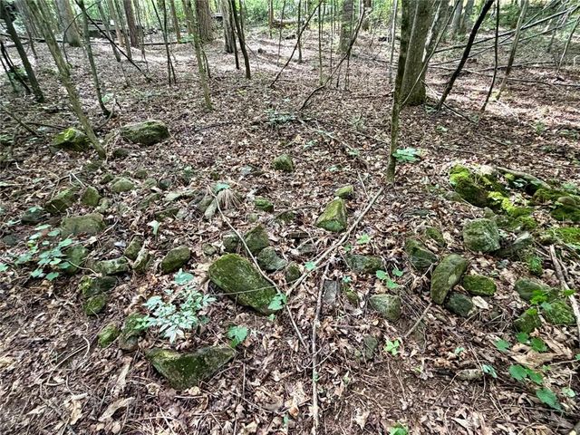 6.9 Acres Rivertown Road, Fairburn, GA 30213