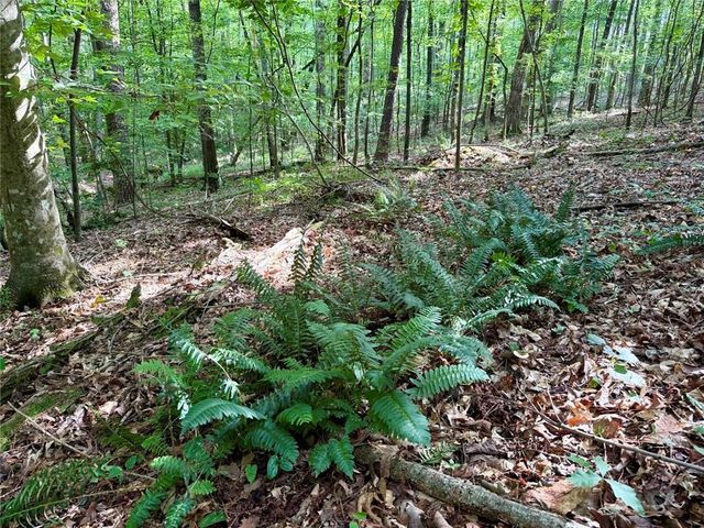 6.9 Acres Rivertown Road, Fairburn, GA 30213
