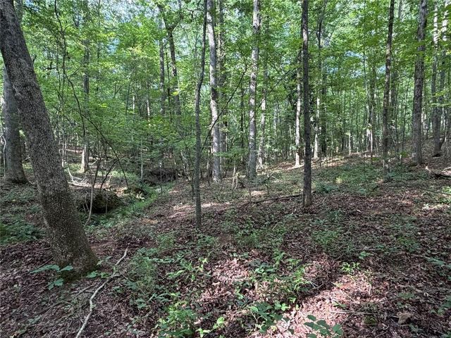 6.9 Acres Rivertown Road, Fairburn, GA 30213