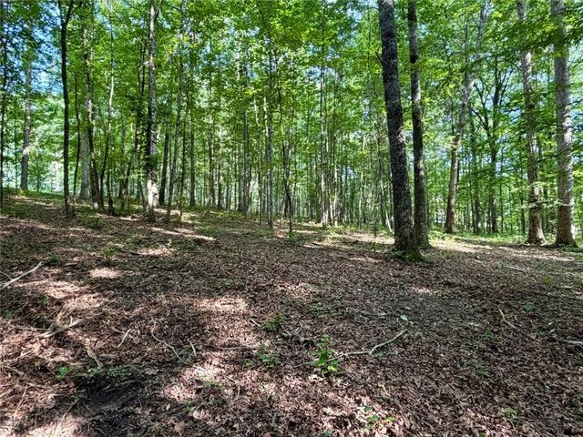 6.9 Acres Rivertown Road, Fairburn, GA 30213